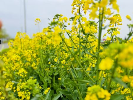 微信圖片_20250314104816