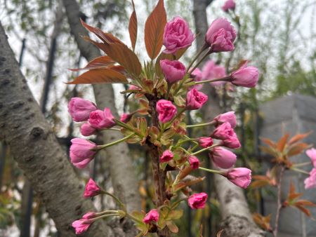 微信圖片_20250411110550