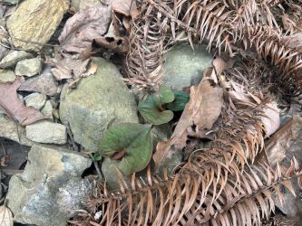 微信圖片_20250423162452