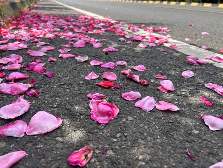 微信圖片_20250616162008